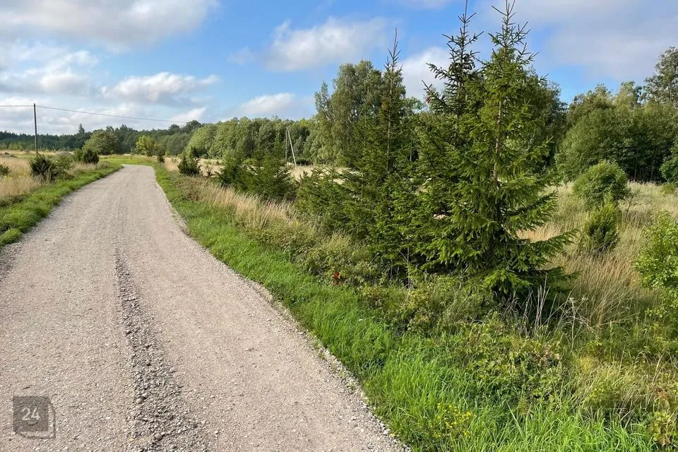 Elamumaa, 2573 m² Maa  -  Haapsalu linn, Rohuküla - foto 5