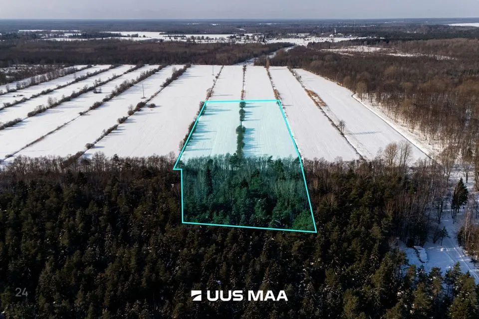 Cultivated land, 34985 m² land in Saaremaa vald, Oitme küla - photo 2
