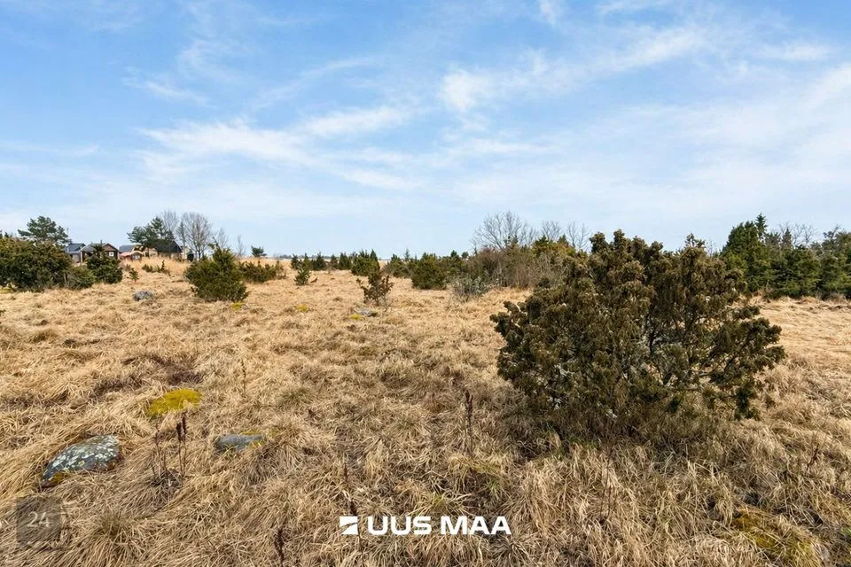 Maatulundusmaa, 23539 m² участок в Lääneranna vald, Saulepi küla - фото 2