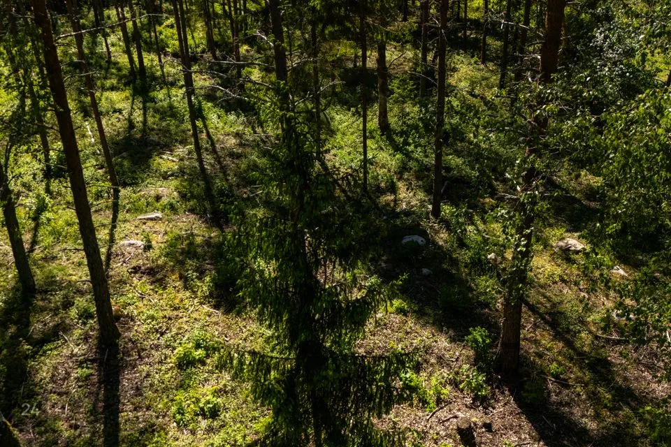 Maatulundusmaa, 12572 m² участок в Muhu vald, Rinsi küla - фото 5