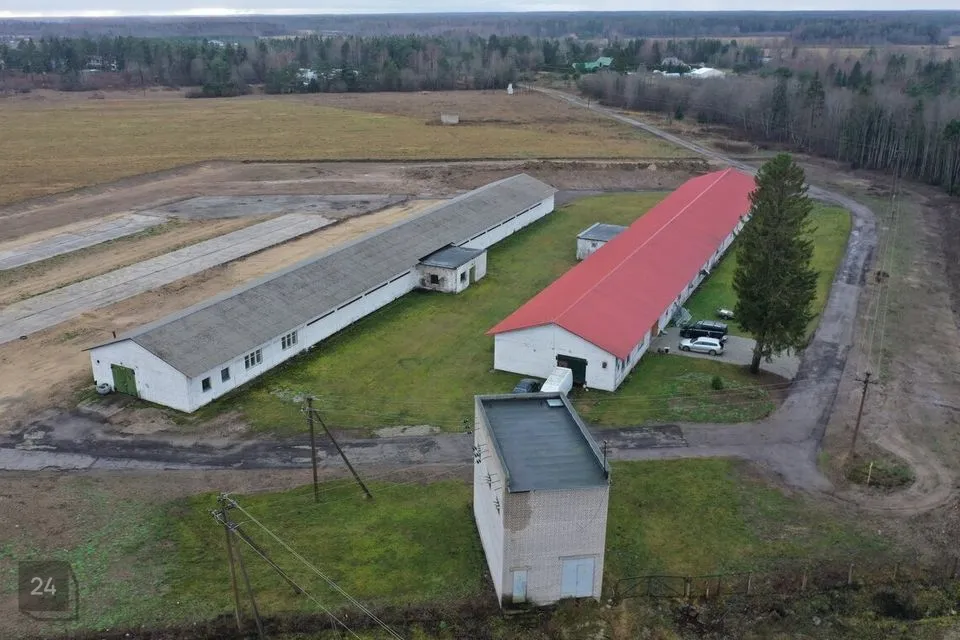Ladu või Tootmine, 1286 m² Äripind - Saku vald, Tagadi küla - foto 2