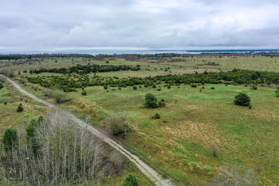 Maatulundusmaa, 23576 m² Maa  -  Harku vald, Muraste küla - foto 2
