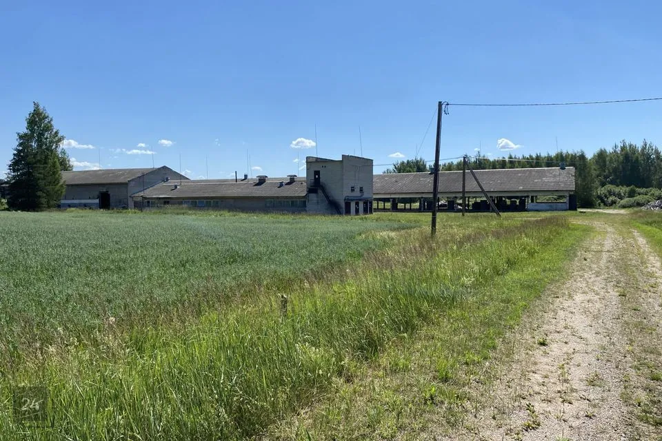 Tootmismaa, 47260 m² Maa - Antsla vald, Vaabina küla - foto 3