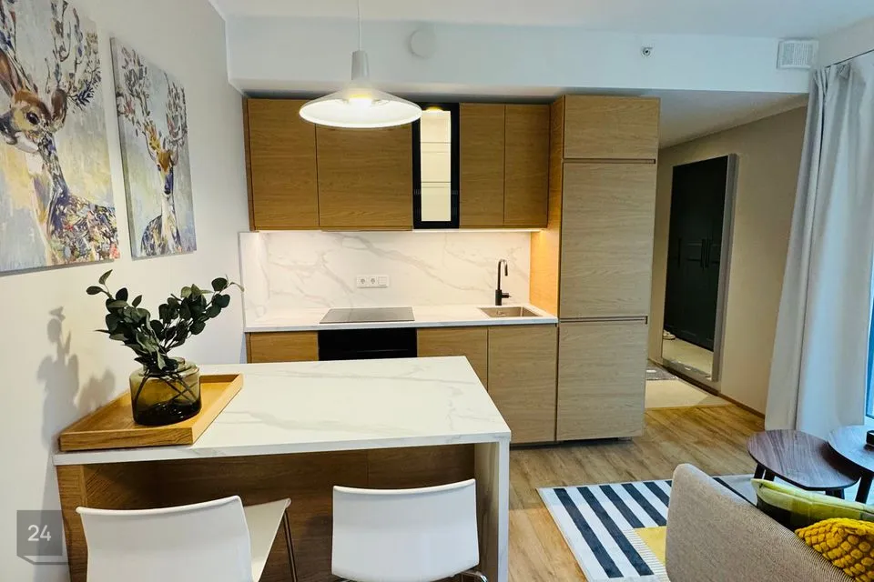 1-toaline Korter - Maardu linn - foto 4