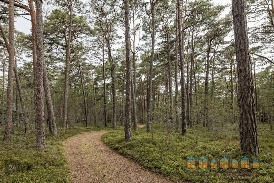 5-toaline Maja - Lääne-Harju vald, Laulasmaa küla - foto 5