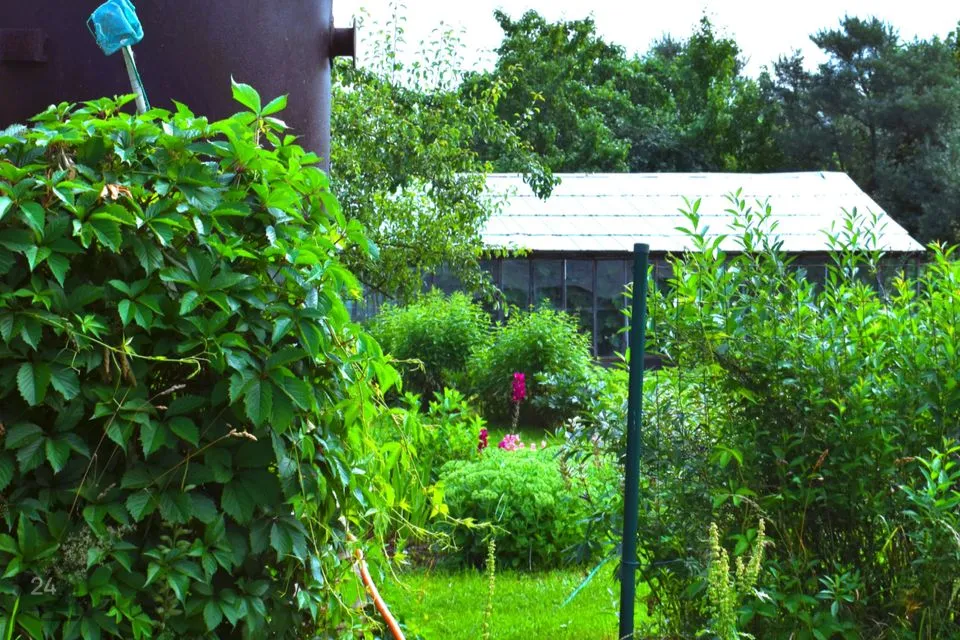 1-toaline Maja  -  Jõhvi vald, Kotinuka küla - foto 3