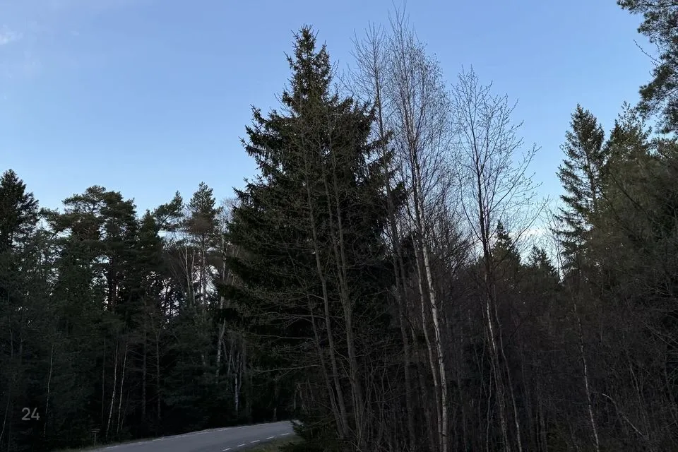 Maatulundusmaa, 15309 m² участок в Lääne-Nigula vald, Spithami küla / Spithamn - фото 5