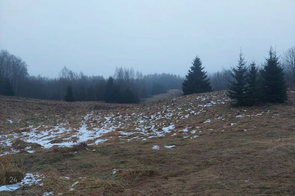 Residential land, 7130 m² land in Rõuge vald, Kaloga küla - photo 3