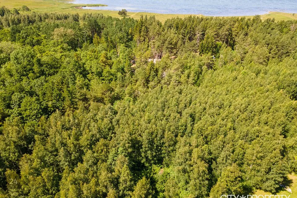 Residential land, 32509 m² land in Vormsi vald, Kersleti küla - photo 5