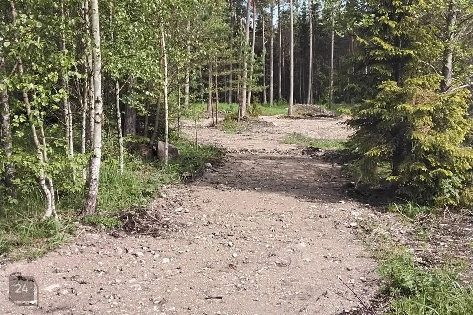 Elamumaa, 5250 m² Maa - Hiiumaa vald, Kalana küla - foto 4