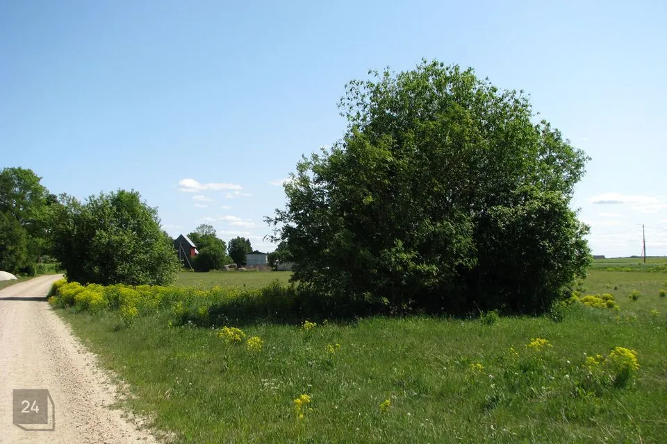 Elamumaa, 2146 m² Maa  -  Järva vald, Roosna küla - foto 4