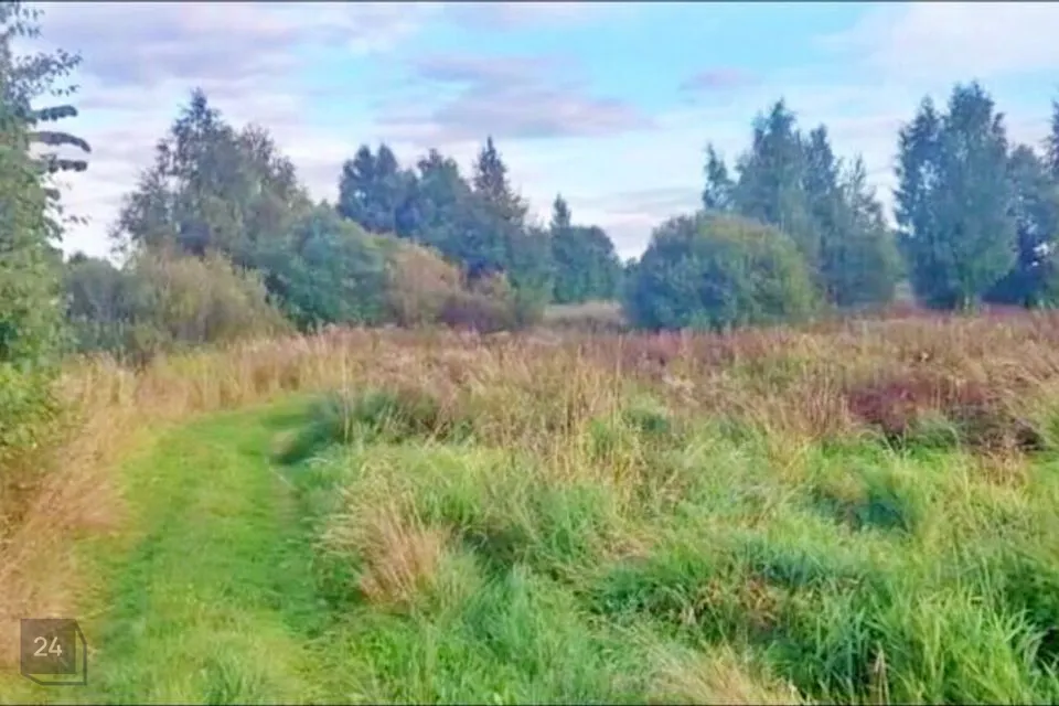 Tootmismaa, 10238 m² Maa  -  Peipsiääre vald, Vara küla - foto 3