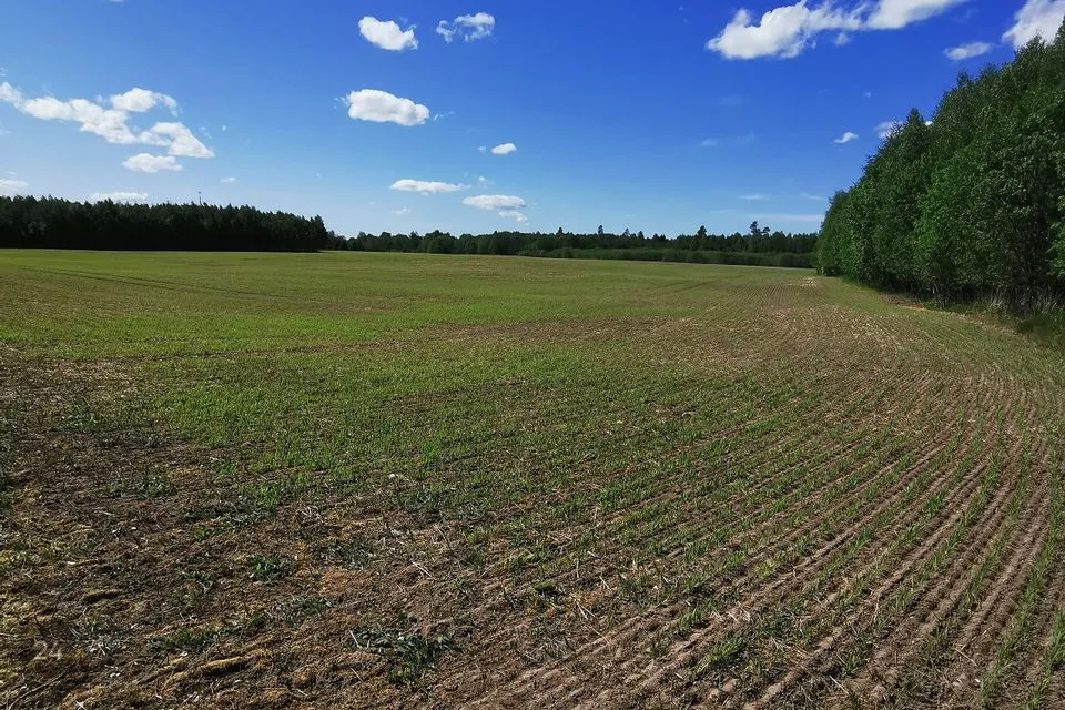 Maatulundusmaa, 22000 m² Maa - Kose vald, Paunküla - foto 5