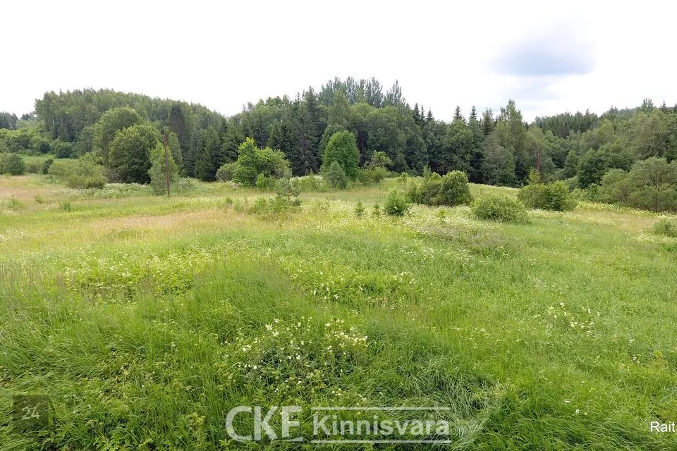 Maatulundusmaa, 9007 m² Maa - Rõuge vald, Pausakunnu küla - foto 5