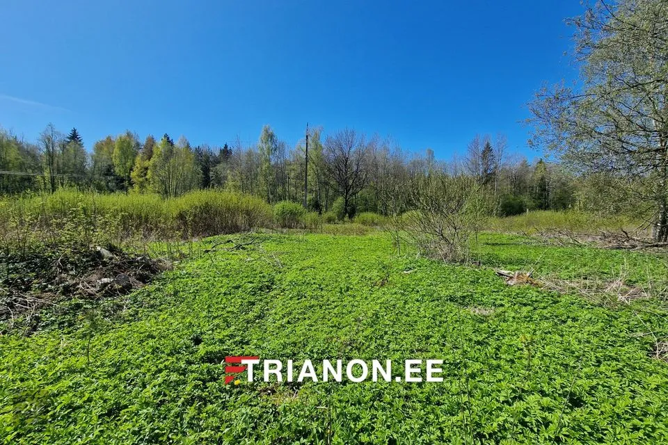 2-toaline Maja  -  Narva linn - foto 5