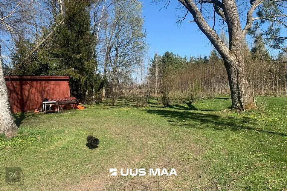 Земля жилой застройки, 4974 m² участок в Märjamaa vald, Kirna küla - фото 4