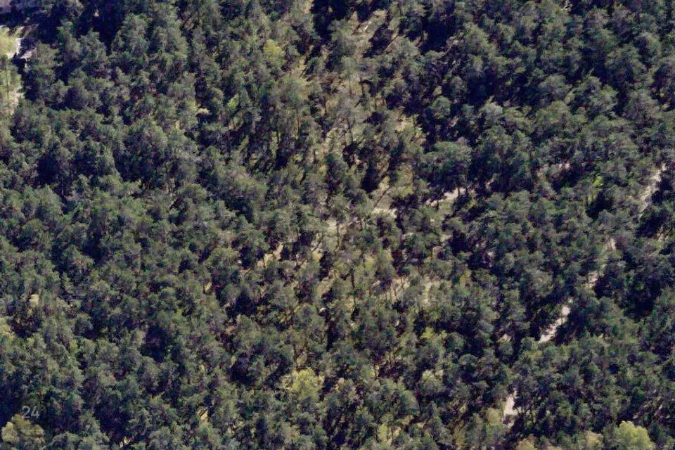 Maatulundusmaa, 16829 m² участок в Saaremaa vald, Soela küla - фото 2