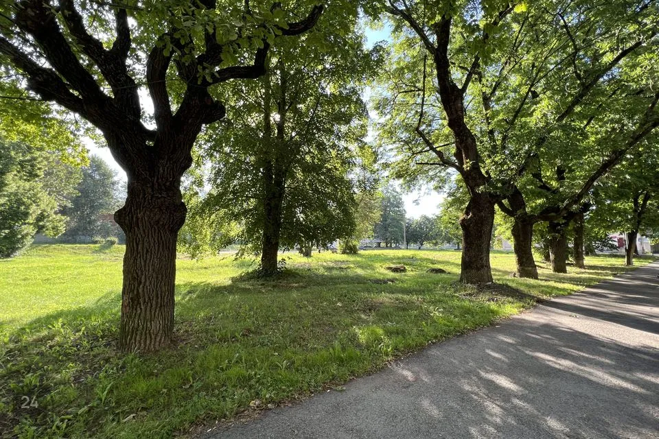 Ärimaa, 3092 m² Maa  -  Narva linn - foto 5