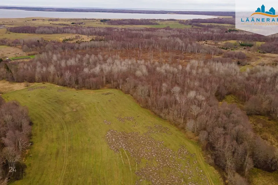 Maatulundusmaa, 50045 m² Maa - Saaremaa vald, Rahuste küla - foto 2