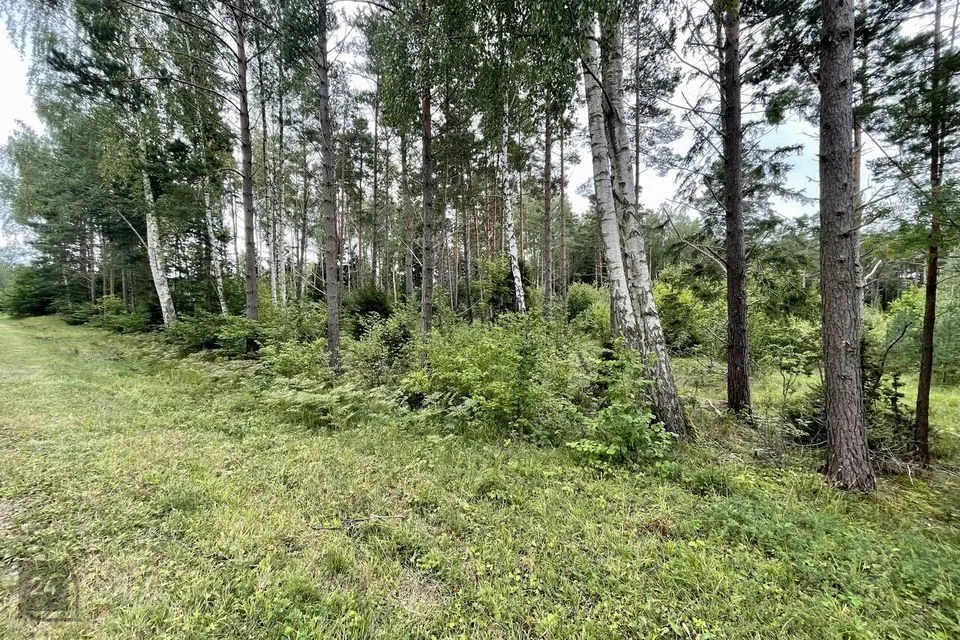 Maatulundusmaa, 25900 m² участок в Saaremaa vald, Hänga küla - фото 4