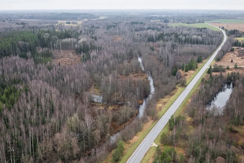 Maatulundusmaa, 79700 m² Maa  -  Tartu vald, Väägvere küla - foto 5