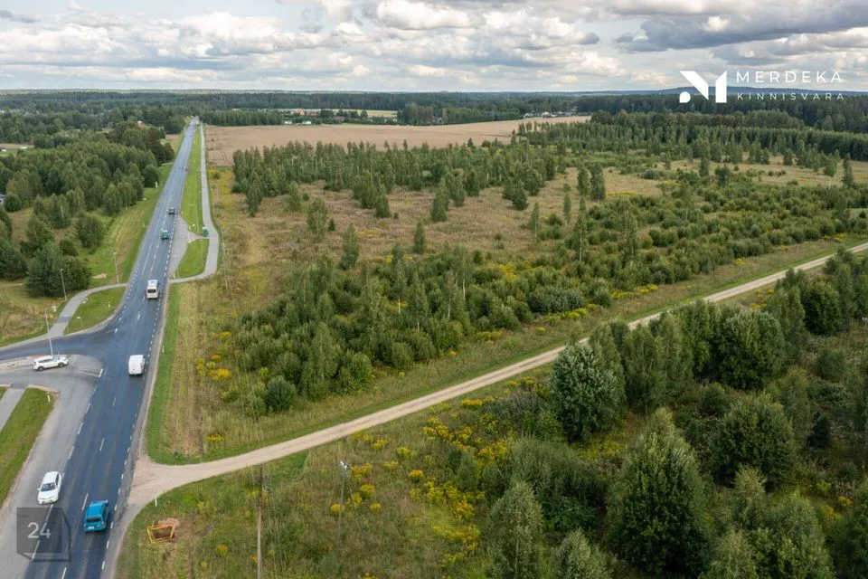 Elamumaa, 36371 m² Maa  -  Kastre vald, Haaslava küla - foto 3