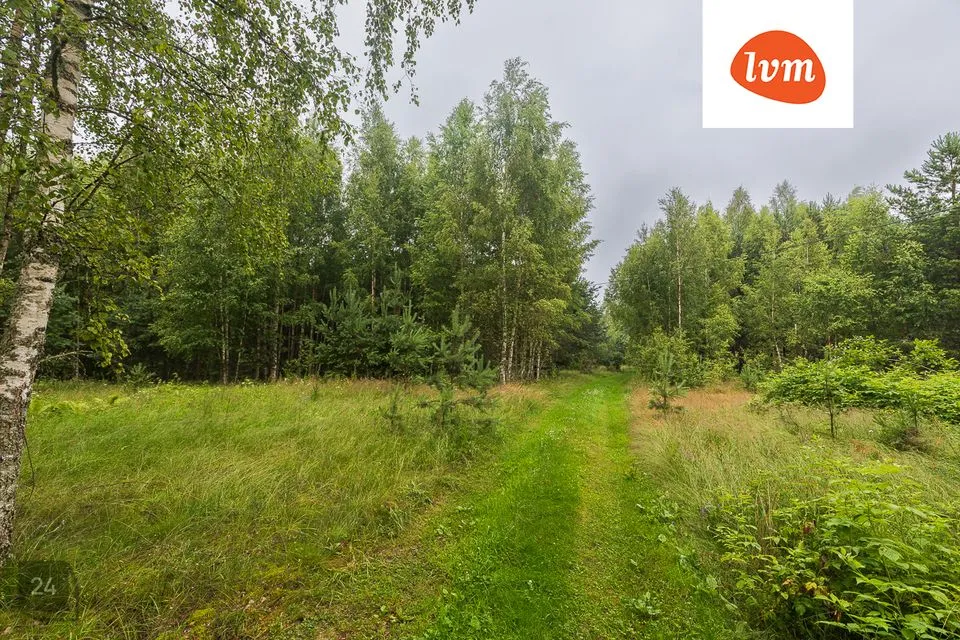 Maatulundusmaa, 13086 m² Maa  -  Alutaguse vald, Kuru küla - foto 5