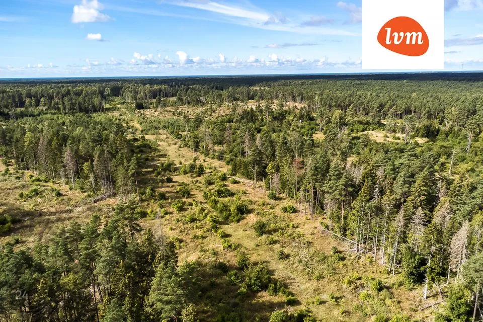 Maatulundusmaa, 16189 m² Maa  -  Saaremaa vald, Mäebe - foto 4