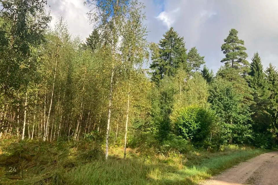 Maatulundusmaa, 2063 m² участок в Saaremaa vald, Pöitse küla
