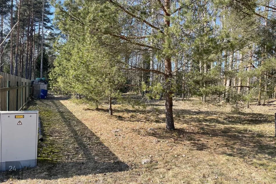 Земля жилой застройки, 1336 m² участок в Alutaguse vald, Karjamaa küla - фото 3