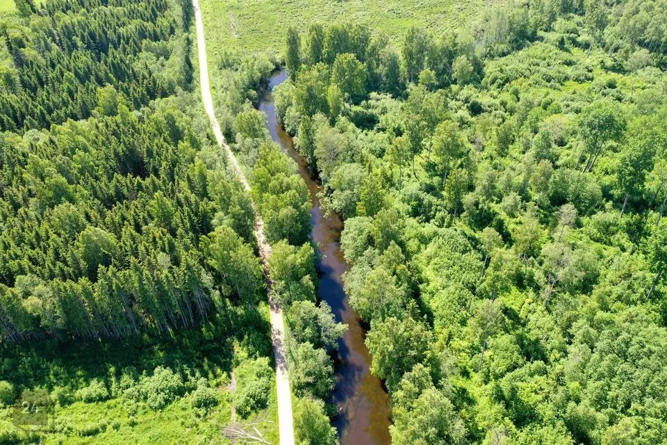 Maatulundusmaa, 22138 m² Maa  -  Järva vald, Jõeküla - foto 4