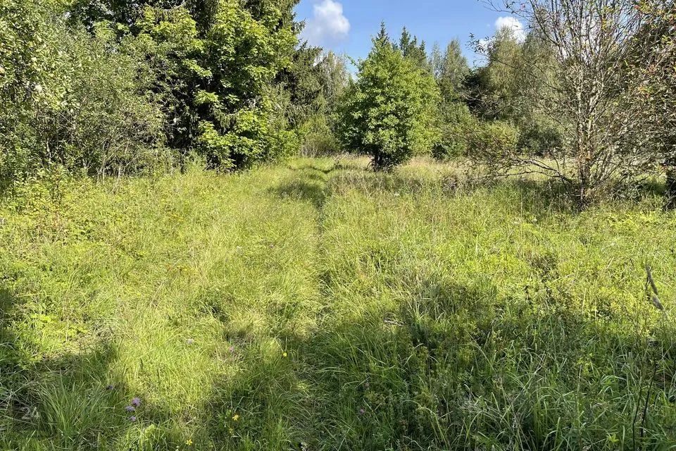 Maatulundusmaa, 25100 m² участок в Saaremaa vald, Vilidu küla - фото 5