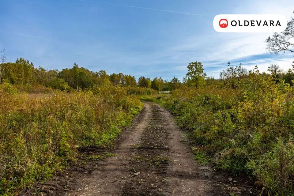 Maatulundusmaa, 10163 m² Maa - Haapsalu linn, Laheva küla - foto 5