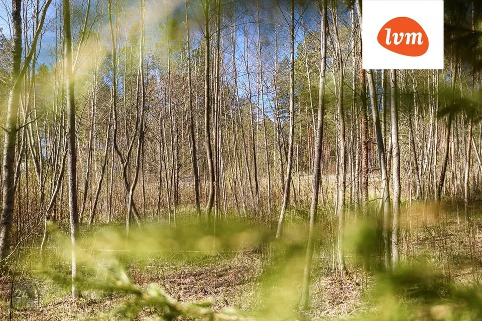 Elamumaa, 1642 m² Maa  -  Pärnu linn, Paikuse alev