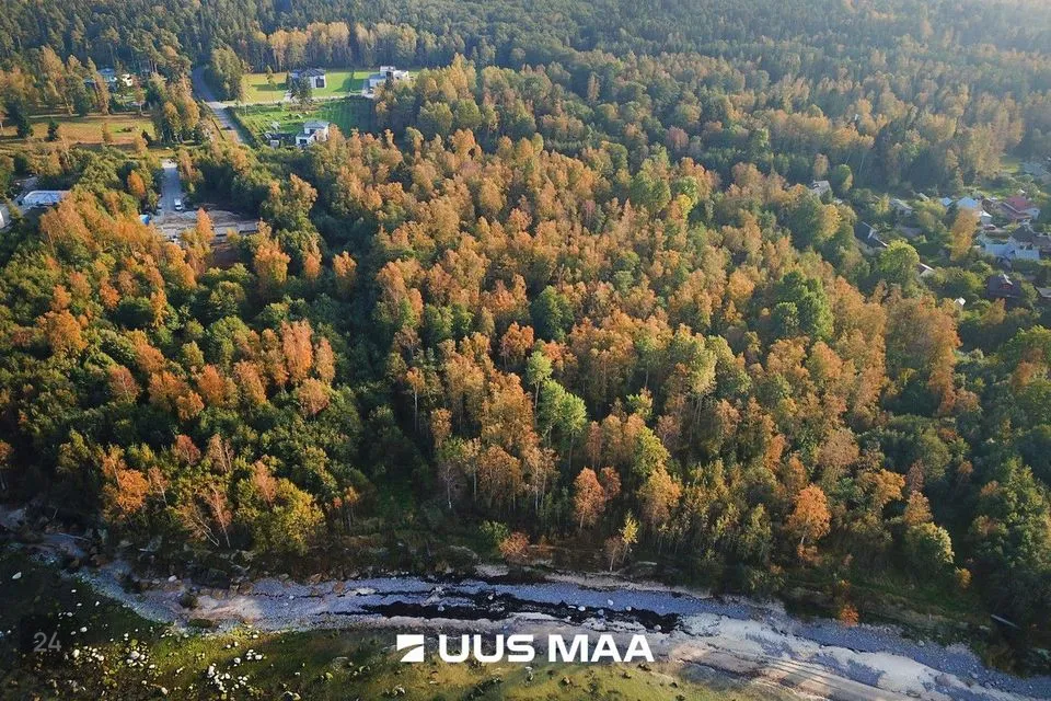 Maatulundusmaa, 20500 m² Maa  -  Harku vald, Suurupi küla - foto 4