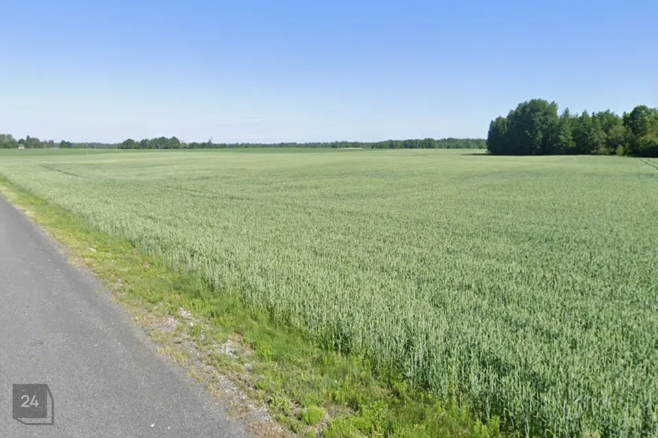 Maatulundusmaa, 133145 m² Maa  -  Türi vald, Kurla küla