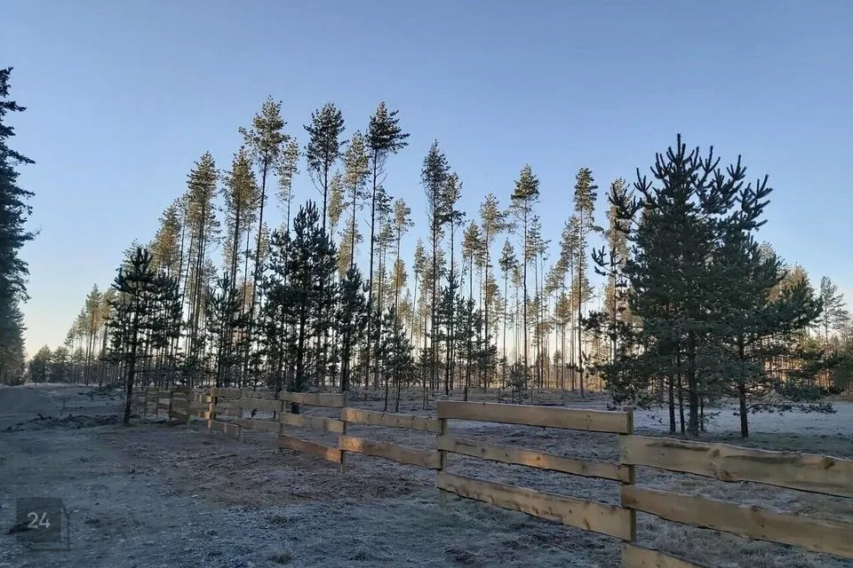 Земля жилой застройки, 2500 m² участок в Alutaguse vald, Kuru küla - фото 4