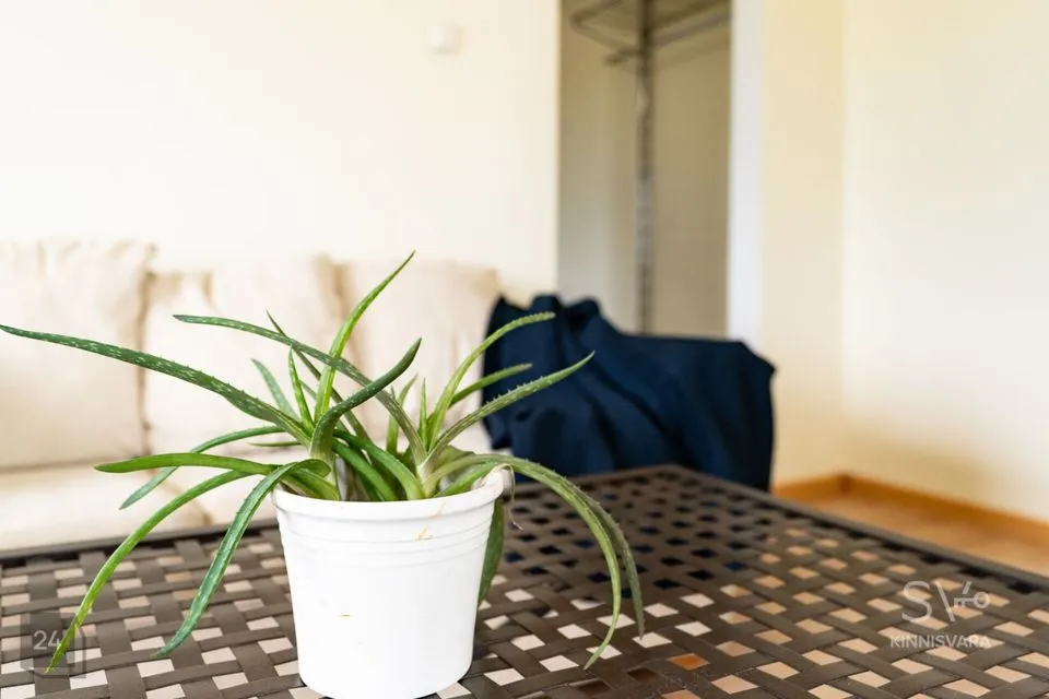 4-toaline Korter  -  Tallinn, Mustamäe linnaosa - foto 4