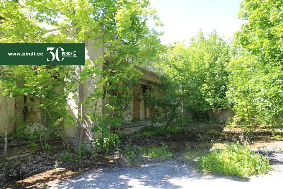 632 m² Бизнес-площадь в Haapsalu linn, Jõõdre küla - фото 4