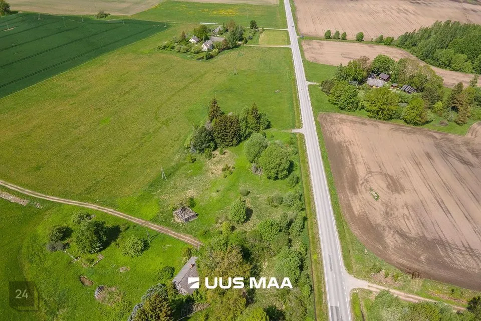 Maatulundusmaa, 122087 m² Maa  -  Mustvee vald, Ulvi küla - foto 2