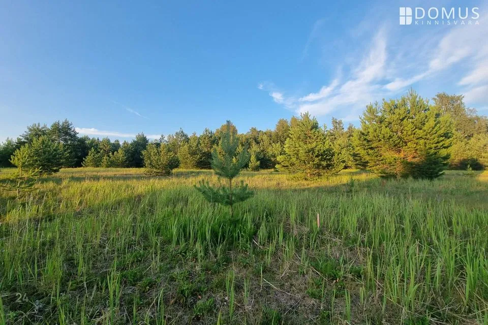 Земля жилой застройки, 8681 m² участок в Kuusalu vald, Loksa küla - фото 2