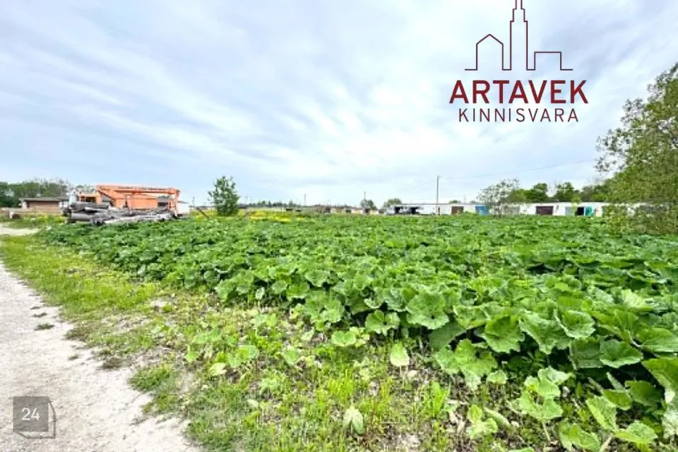 Земля жилой застройки, 1305 m² участок в Jõhvi vald, Järve küla - фото 3