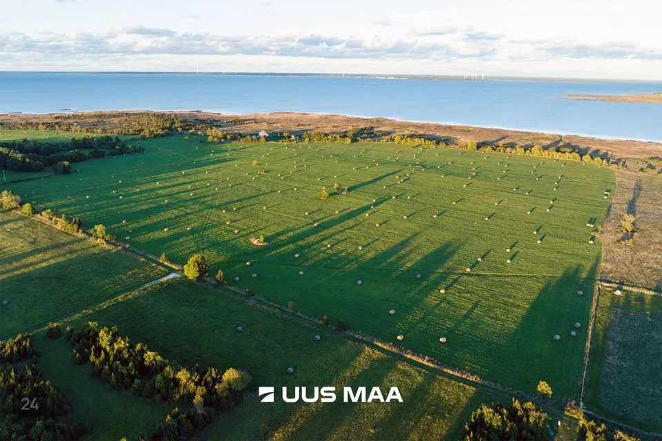 Maatulundusmaa, 20406 m² Maa  -  Muhu vald, Võiküla - foto 4
