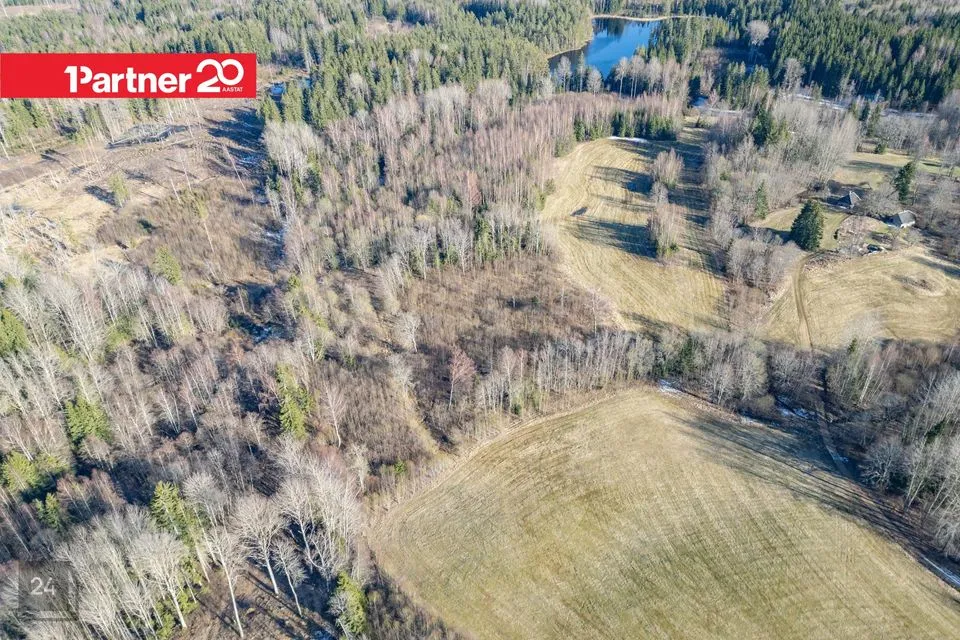 Maatulundusmaa, 98602 m² Maa - Rõuge vald, Kirbu küla - foto 5