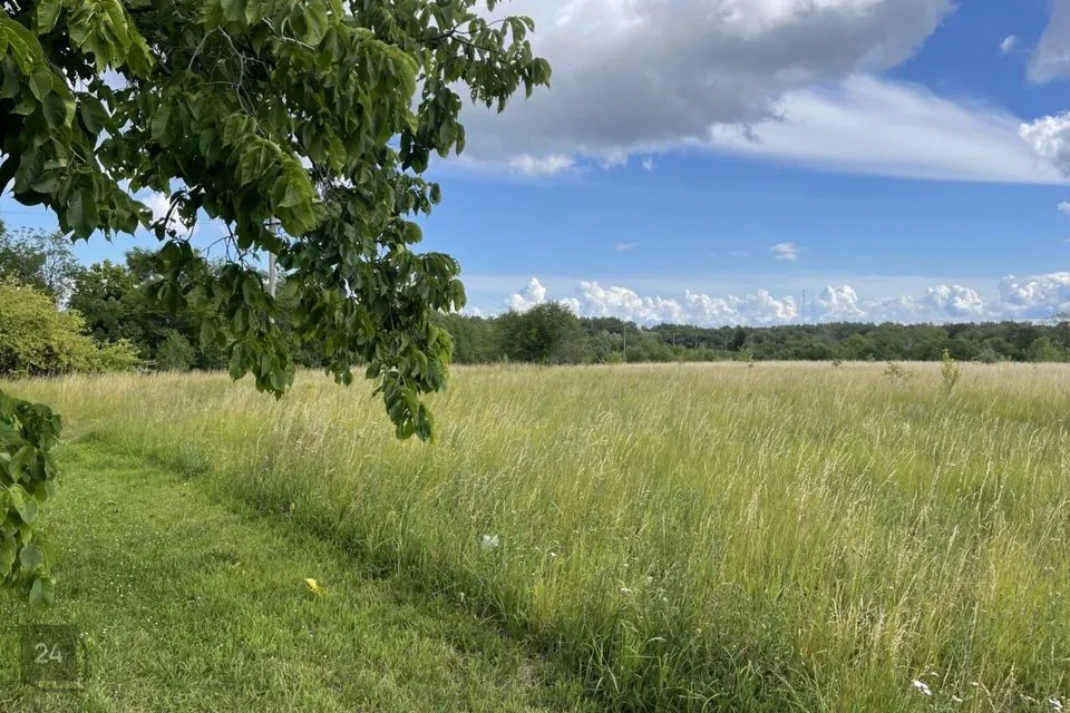 59200 m² участок в Narva-Jõesuu linn, Sõtke küla - фото 4