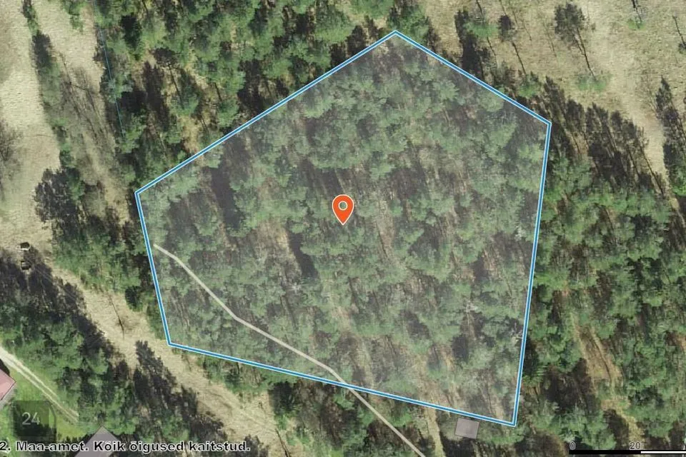 Elamumaa, 8847 m² Maa  -  Lääne-Nigula vald, Aulepa küla / Dirslätt - foto 2