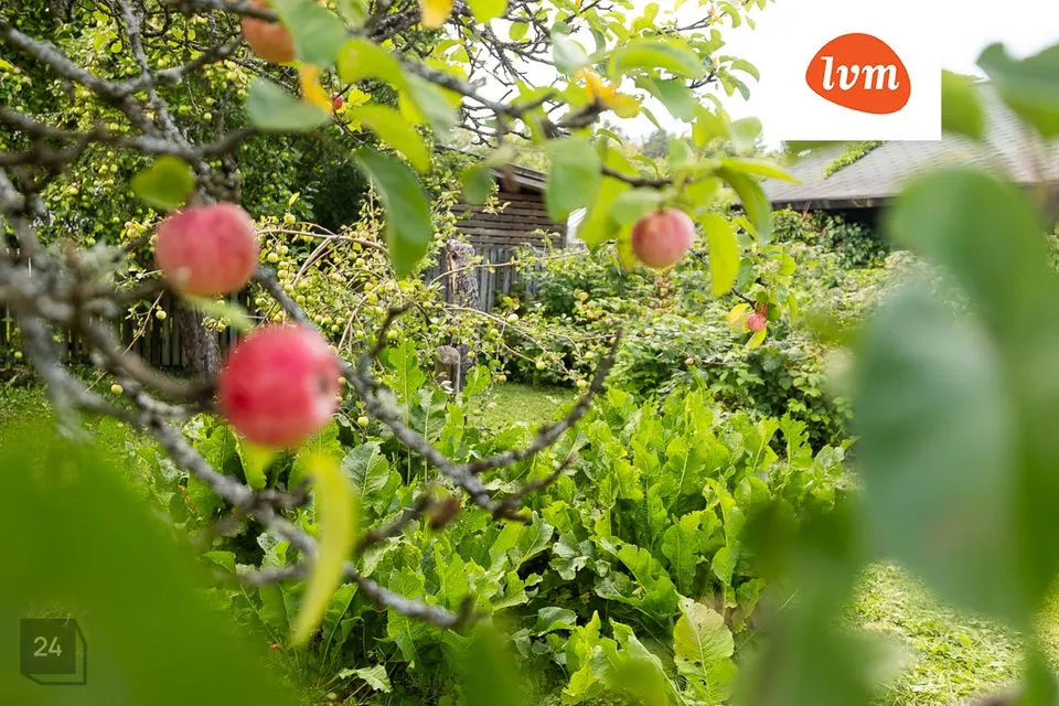 69 m² Suvila - Viimsi vald, Randvere küla - foto 3