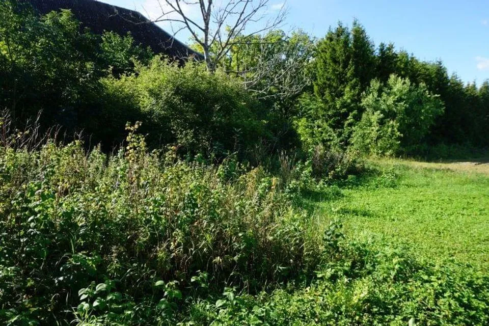 1-toaline Maja - Hiiumaa vald, Suuremõisa küla - foto 3