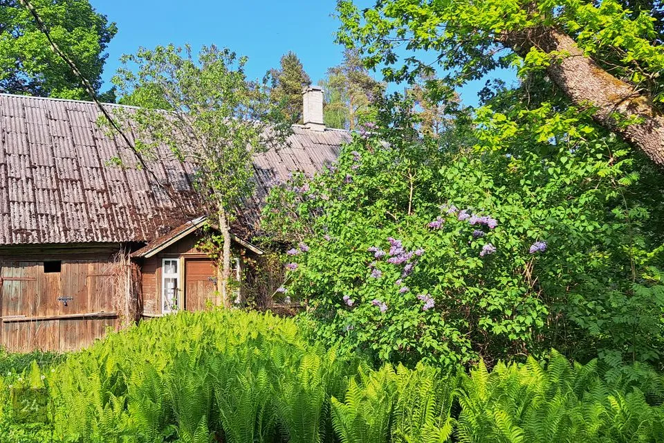 3-комнатная Дача в Kohila vald, Loone küla