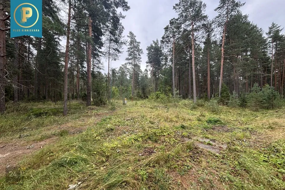 Elamumaa, 2000 m² Maa  -  Narva-Jõesuu linn, Narva-Jõesuu linn - foto 2